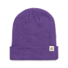 Black Violet