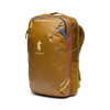 Bronze