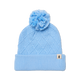 Iceberg