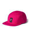 Pitaya