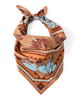Desert llama